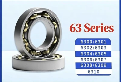 6302 Deep Groove Kugleleje